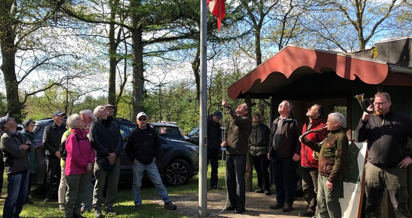 Staushede - flaghejsning.JPG