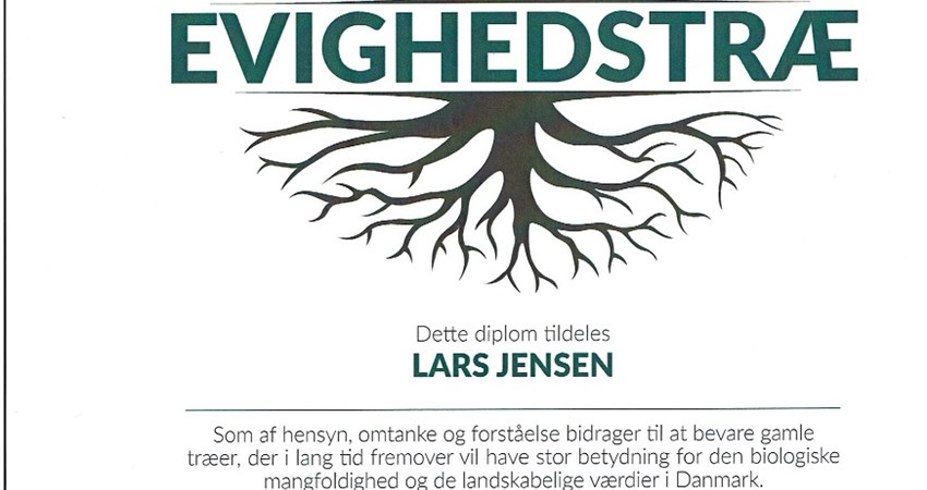 Diplom 105-10 Hængebøg.jpg