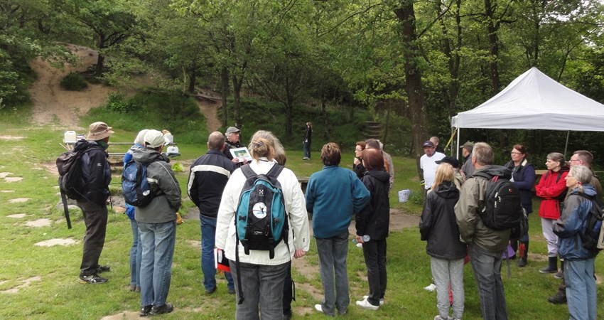 DSC05806 - forklaring.JPG