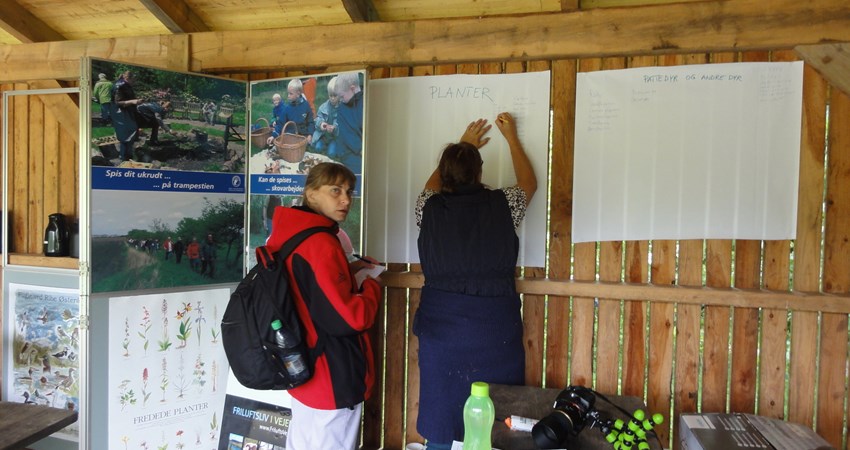 DSC05822 - registrering.JPG