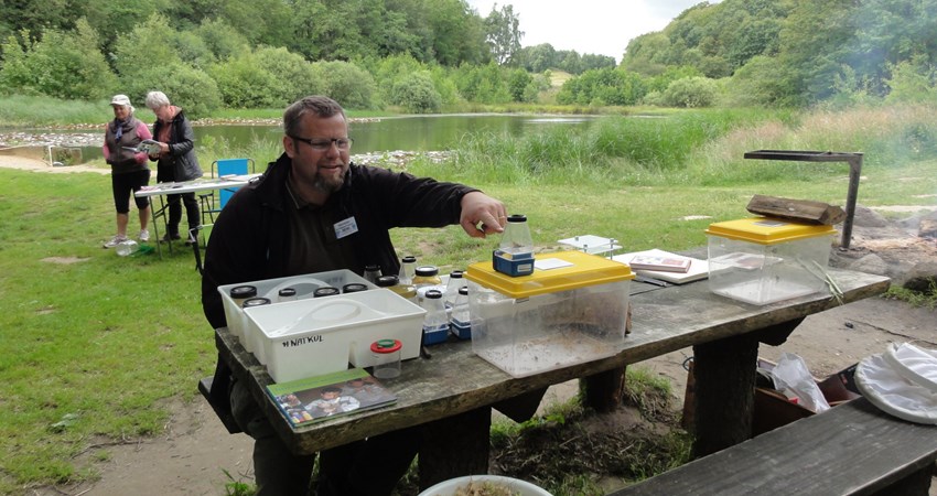 DSC05827 - naturvejleder.JPG