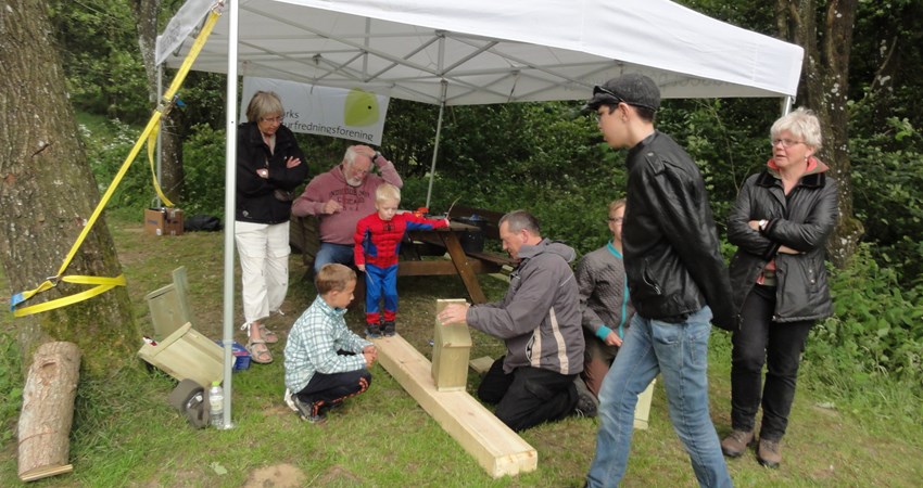 DSC05831 - fuglekasser.JPG