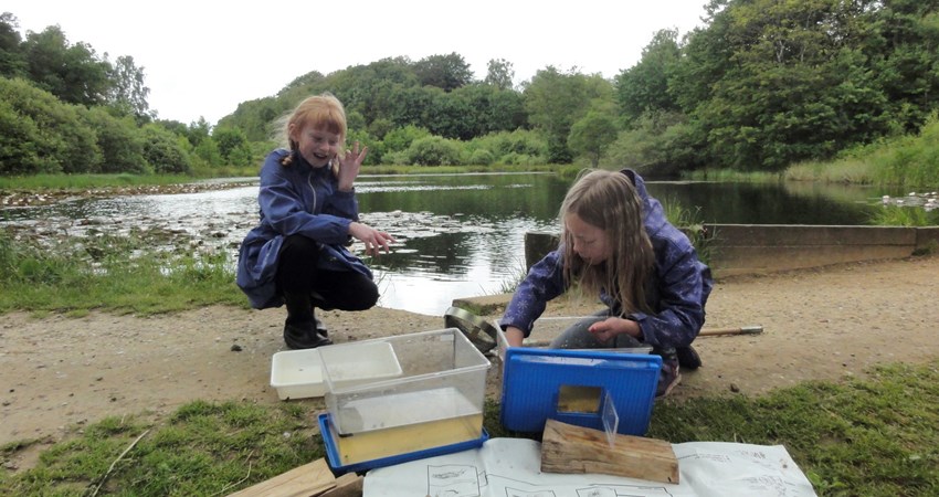 DSC05830 - kontrol.JPG