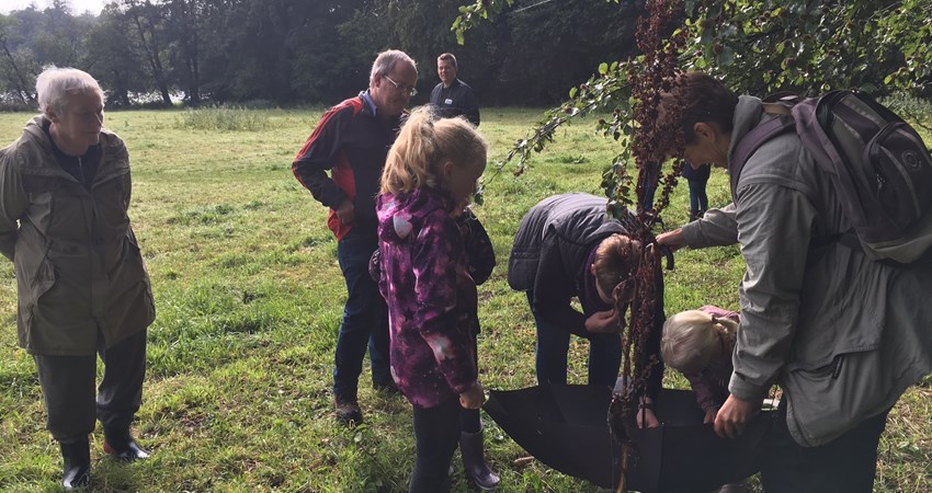 Naturens Dag 2019-2.JPG