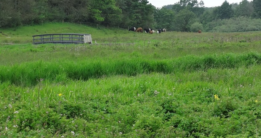 Sporens dag 10 juni 12 015.JPG