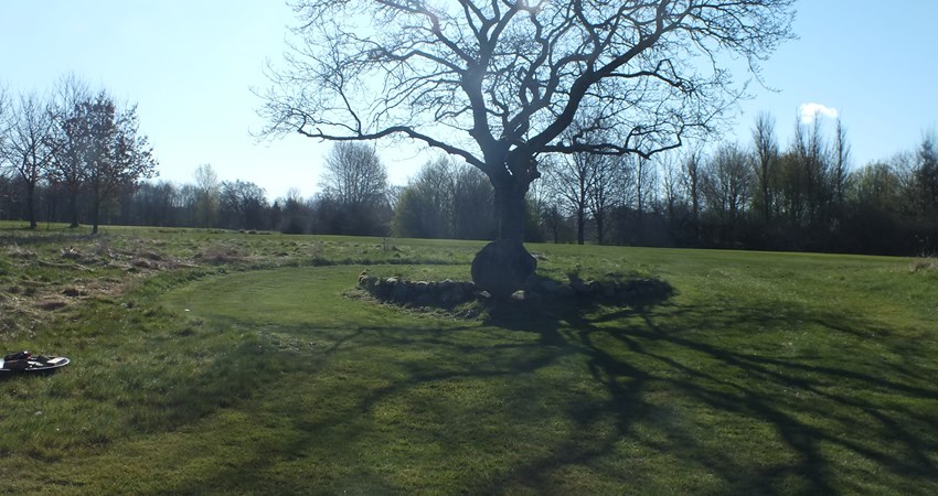 108 Royal Oak - e.JPG