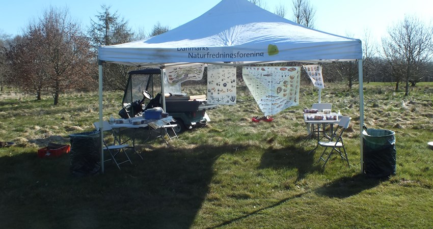 108 Royal Oak - f.JPG