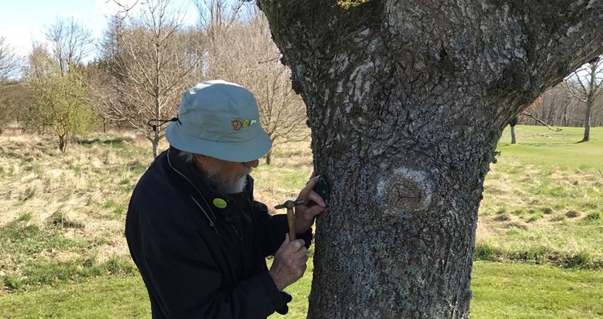 108 Royal Oak - 3.jpg