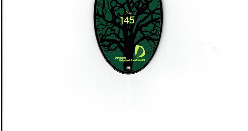 nr 145 - skilt.jpg