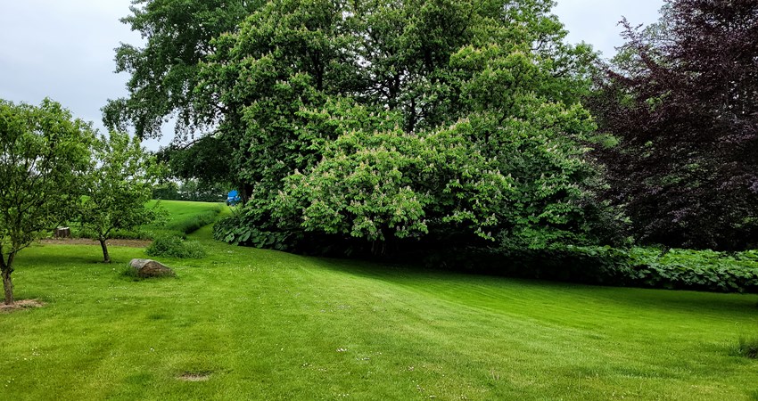 nr 145 - Lervadgård -.jpg