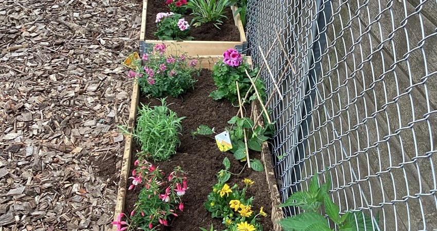 Askov Børnehave 2.jpg