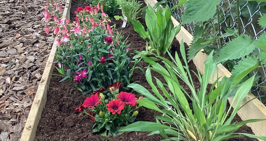 Askov Børnehave 4.jpg