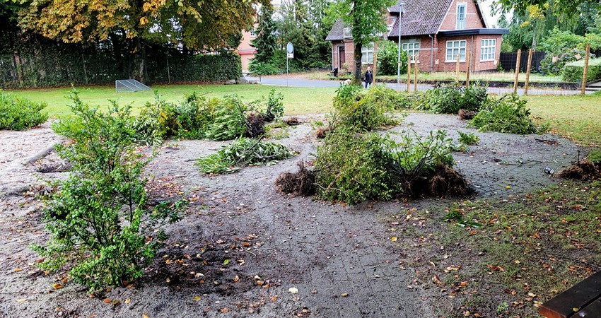 Bække skole - 11.jpg