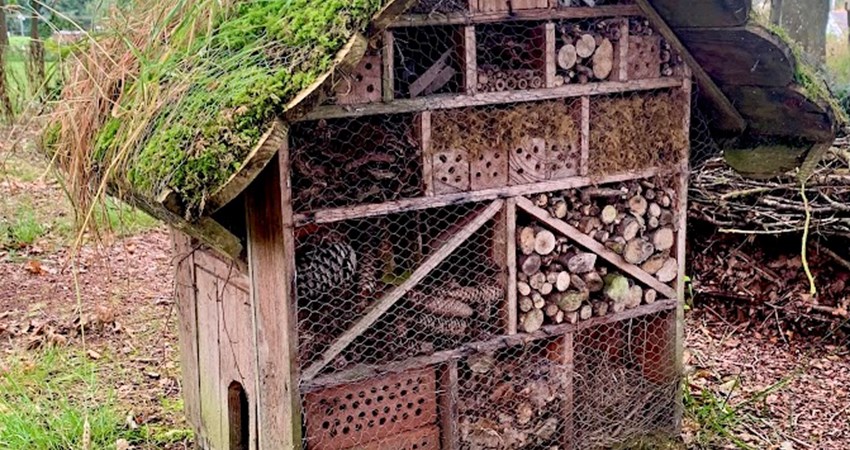 Evighedstræ 163 1.jpg