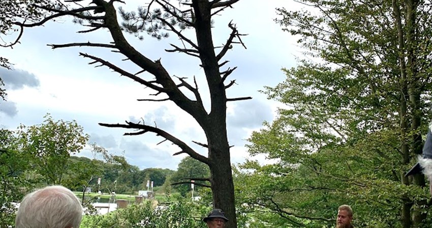 Evighedstræ 163 6.jpg