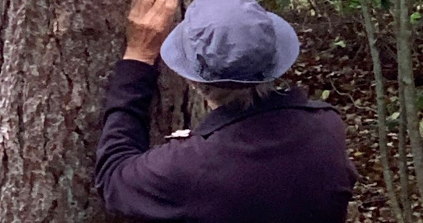 Evighedstræ 163 7.jpg