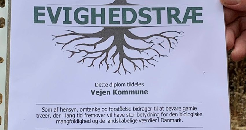 Evighedstræ 163 8.jpg