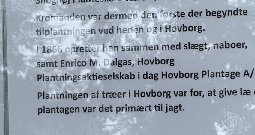 Evighedstræ 163 9.jpg