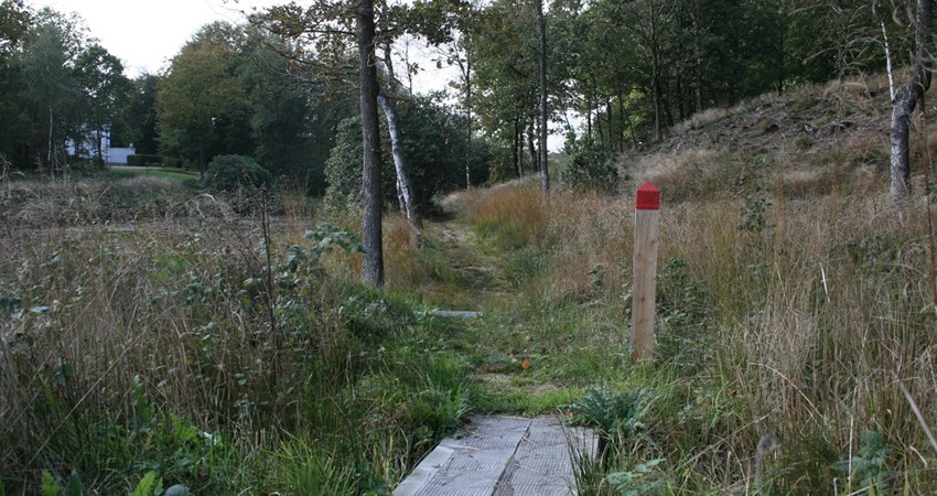 Baldersbæk - sti.JPG