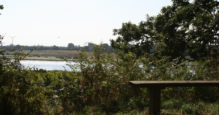 Gamst Søenge.JPG (1)