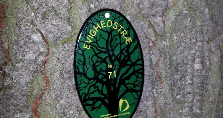 7 20161026_181338.jpg