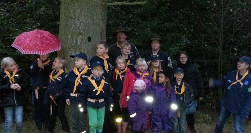 6 20161026_180852.jpg