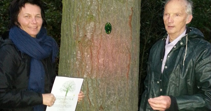 2 -20161026_180800.jpg