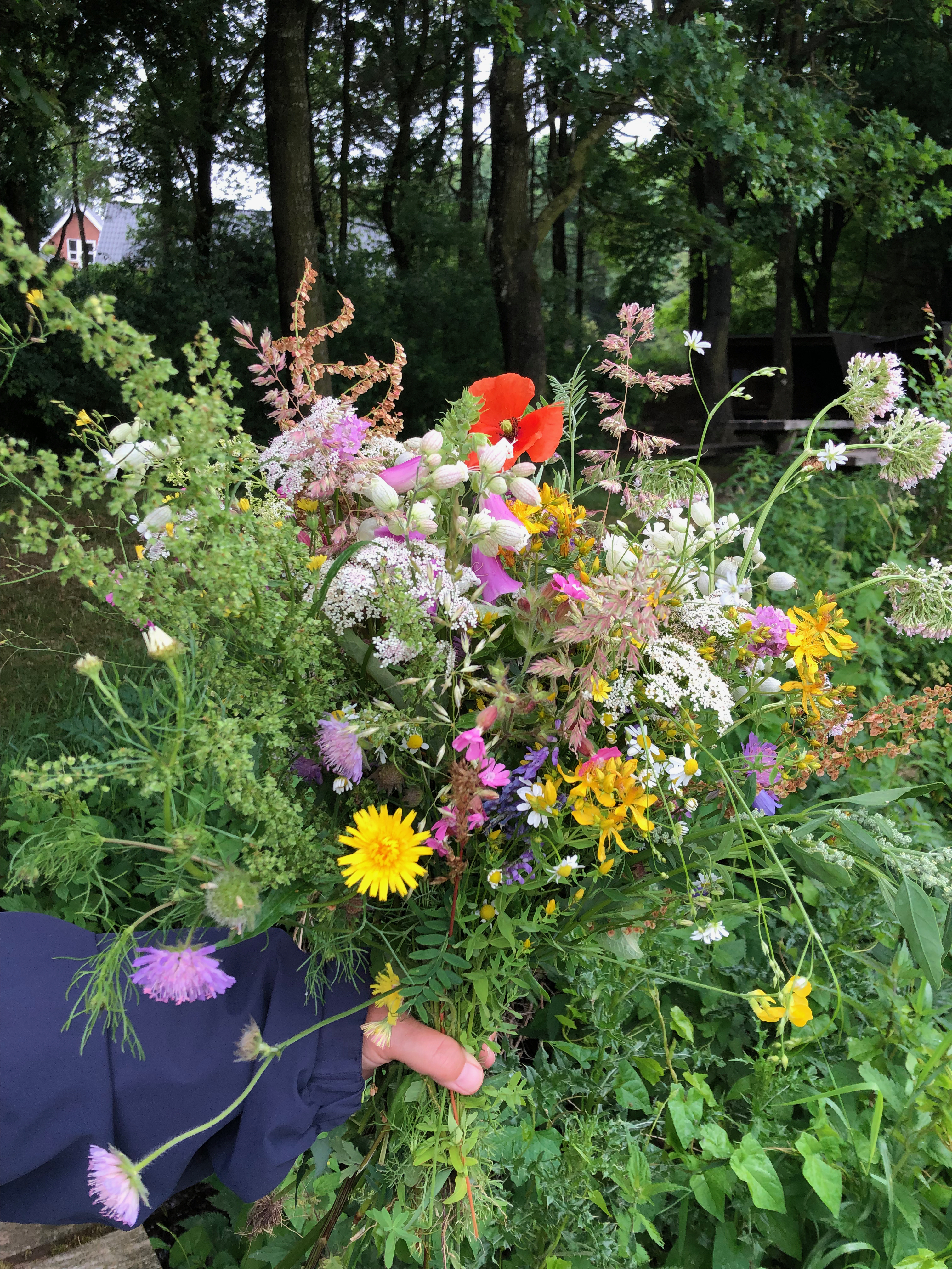 Blomsterbuketter viser vej ud i de lokale fortællinger om natur og kultur